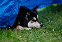 DSC_0616.jpg