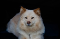 DSC_0617.jpg
