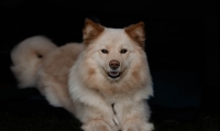 DSC_0618.jpg