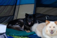 DSC_0619.jpg