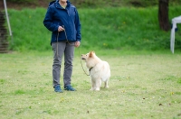 DSC_0630.jpg
