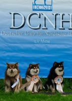 DSC_0643.jpg