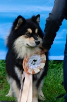 DSC_0651.jpg