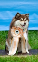 DSC_0659.jpg