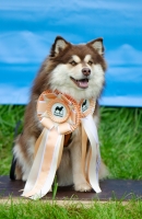 DSC_0660.jpg
