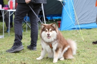 3K0A5456.jpg