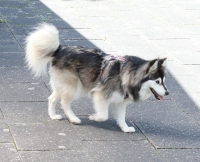 3K0A9538.jpg