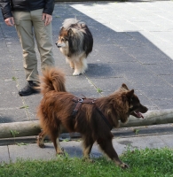 3K0A9540.jpg