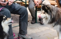 3K0A9946.jpg