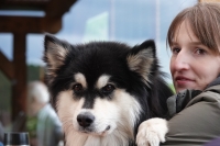 -Dateieigenschaften-Erstellungsdatum Lapphundetreffen Philippsthal 2022 (1030).JPG