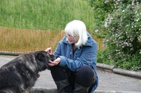 -Dateieigenschaften-Erstellungsdatum Lapphundetreffen Philippsthal 2022 (1181).JPG