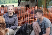-Dateieigenschaften-Erstellungsdatum Lapphundetreffen Philippsthal 2022 (1270).JPG