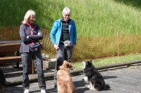 -Dateieigenschaften-Erstellungsdatum Lapphundetreffen Philippsthal 2022 (1318).JPG