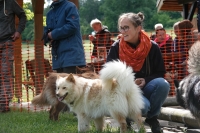 -Dateieigenschaften-Erstellungsdatum Lapphundetreffen Philippsthal 2022 (180).JPG