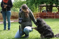 -Dateieigenschaften-Erstellungsdatum Lapphundetreffen Philippsthal 2022 (355).JPG