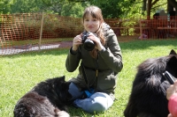 -Dateieigenschaften-Erstellungsdatum Lapphundetreffen Philippsthal 2022 (386).JPG
