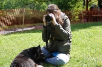 -Dateieigenschaften-Erstellungsdatum Lapphundetreffen Philippsthal 2022 (387).JPG