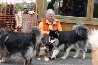 -Dateieigenschaften-Erstellungsdatum Lapphundetreffen Philippsthal 2022 (423).JPG