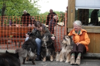 -Dateieigenschaften-Erstellungsdatum Lapphundetreffen Philippsthal 2022 (430).JPG
