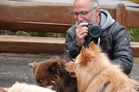 -Dateieigenschaften-Erstellungsdatum Lapphundetreffen Philippsthal 2022 (443).JPG