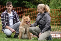 -Dateieigenschaften-Erstellungsdatum Lapphundetreffen Philippsthal 2022 (448).JPG