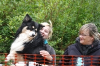 -Dateieigenschaften-Erstellungsdatum Lapphundetreffen Philippsthal 2022 (464).JPG