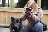 -Dateieigenschaften-Erstellungsdatum Lapphundetreffen Philippsthal 2022 (509).JPG