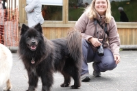 -Dateieigenschaften-Erstellungsdatum Lapphundetreffen Philippsthal 2022 (533).JPG