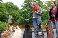 -Dateieigenschaften-Erstellungsdatum Lapphundetreffen Philippsthal 2022 (651).JPG