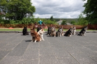 -Dateieigenschaften-Erstellungsdatum Lapphundetreffen Philippsthal 2022 (669).JPG