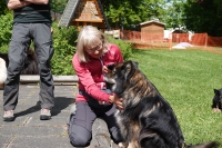 -Dateieigenschaften-Erstellungsdatum Lapphundetreffen Philippsthal 2022 (70).JPG
