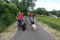 -Dateieigenschaften-Erstellungsdatum Lapphundetreffen Philippsthal 2022 (842).JPG