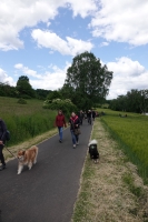 -Dateieigenschaften-Erstellungsdatum Lapphundetreffen Philippsthal 2022 (845).JPG