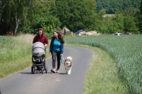 -Dateieigenschaften-Erstellungsdatum Lapphundetreffen Philippsthal 2022 (863).JPG