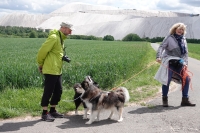 -Dateieigenschaften-Erstellungsdatum Lapphundetreffen Philippsthal 2022 (896).JPG
