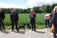 -Dateieigenschaften-Erstellungsdatum Lapphundetreffen Philippsthal 2022 (900).JPG