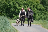 -Dateieigenschaften-Erstellungsdatum Lapphundetreffen Philippsthal 2022 (905).JPG