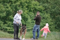 -Dateieigenschaften-Erstellungsdatum Lapphundetreffen Philippsthal 2022 (913).JPG