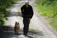 -Dateieigenschaften-Erstellungsdatum Lapphundetreffen Philippsthal 2022 (917).JPG