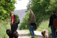 -Dateieigenschaften-Erstellungsdatum Lapphundetreffen Philippsthal 2022 (924).JPG