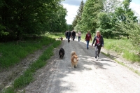 -Dateieigenschaften-Erstellungsdatum Lapphundetreffen Philippsthal 2022 (932).JPG