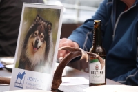 -Dateieigenschaften-Erstellungsdatum Lapphundetreffen Philippsthal 2022 (966).JPG