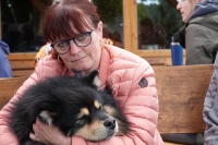 -Dateieigenschaften-Erstellungsdatum Lapphundetreffen Philippsthal 2022 (977).JPG