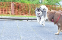 DSC_0094.JPG