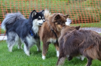 DSC_0137.JPG