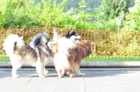 DSC_0172.JPG