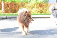 DSC_0177.JPG