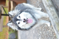 DSC_0191.JPG