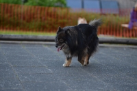 DSC_0241.JPG