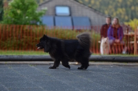 DSC_0256.JPG